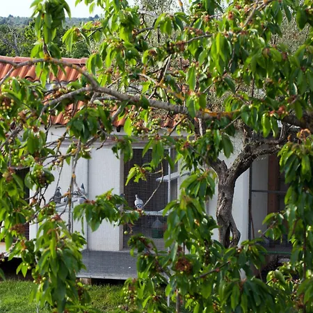 Moderno Guest house